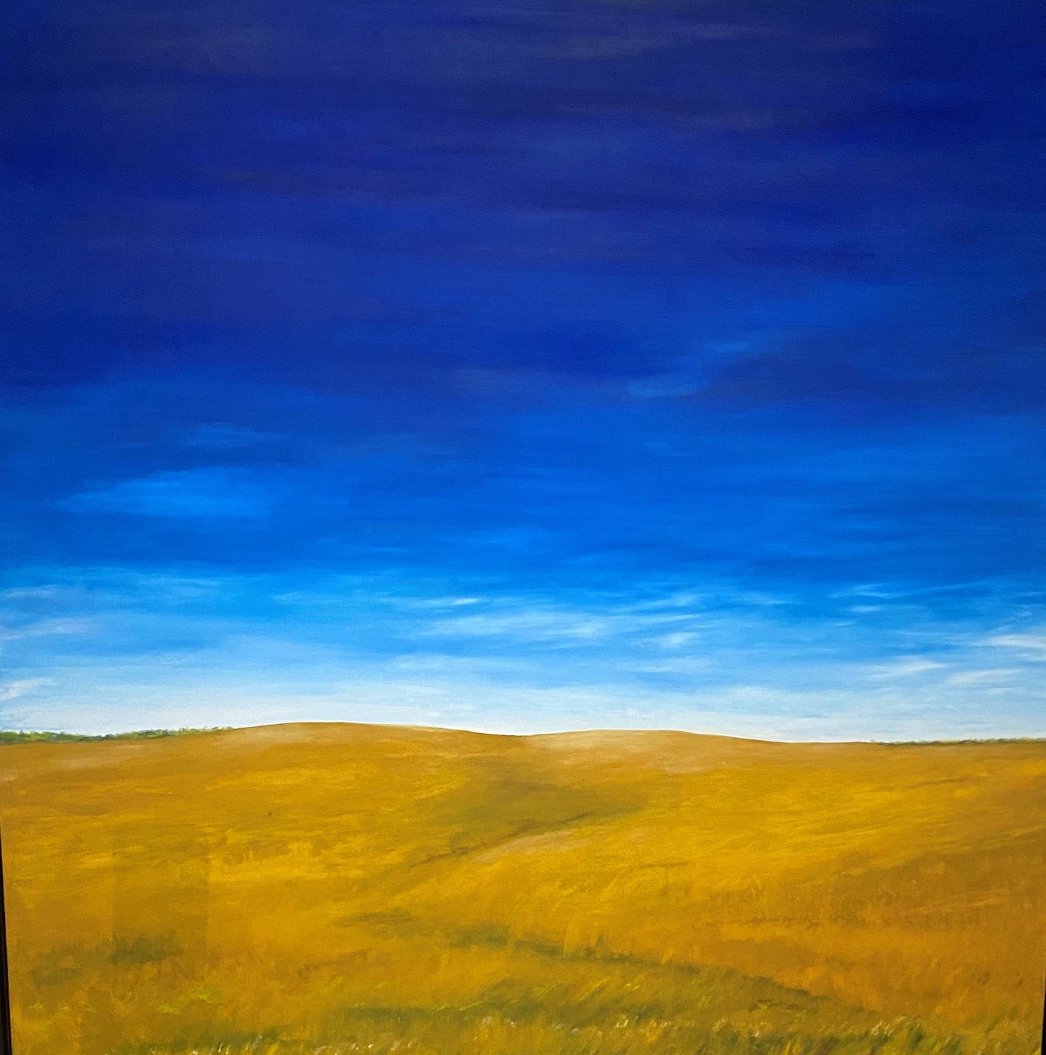 Prairie Landscapes