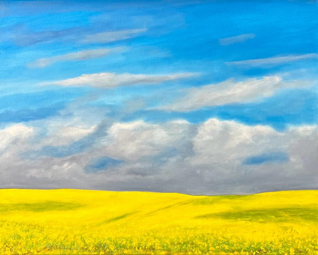 Canola Field 2