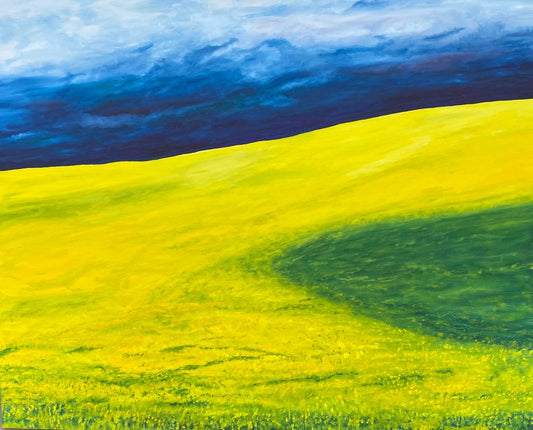 Yellow Canola Field